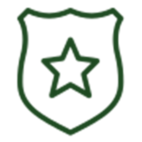 dataviz-icon-3-sheriffs_activity_report.png